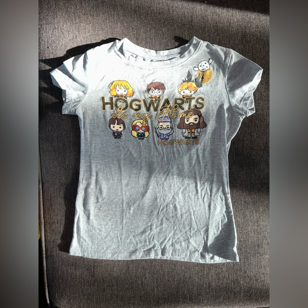 Wizarding World of Harry Potter Chibi Characters Hogwarts is My Home